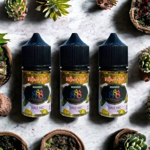 馬來西亞 Vaporshill 888芒果冰沙 30ML